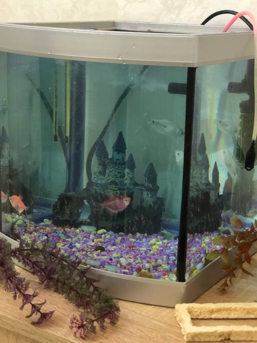 Аквариум на 35л с полным набором