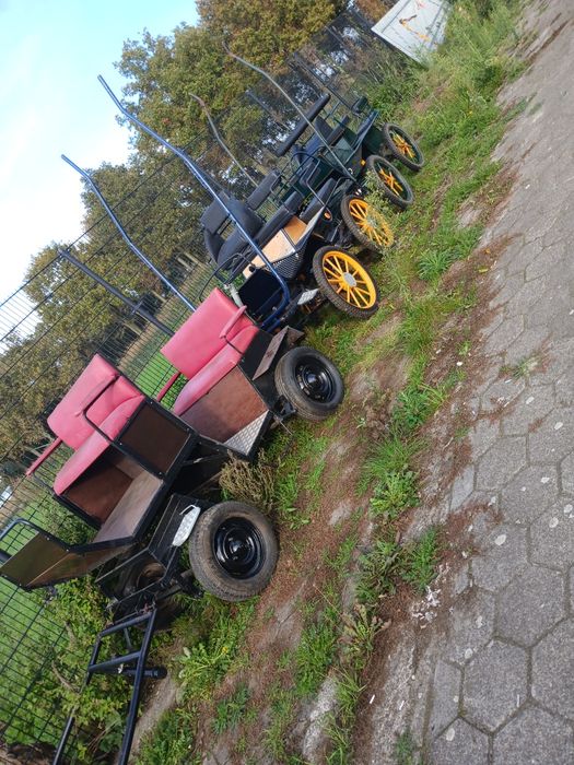 Trăsură 6 persoane