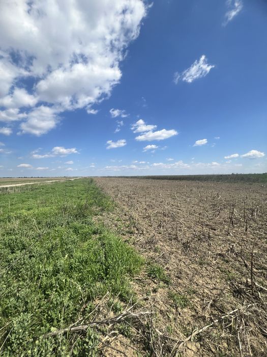Teren agricol Slobozia Moară 8544 mp acces la drum asfaltat si la 1 km de DN7