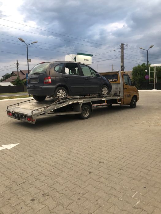 Colelctam rable auto