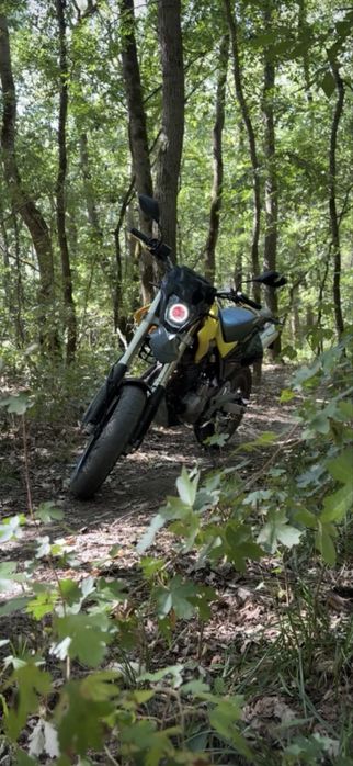 Honda FMX 650 supermoto