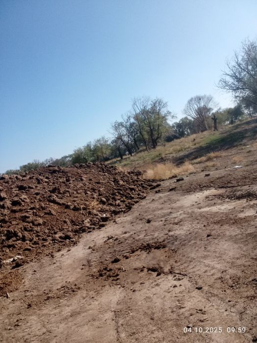 Чернозём новости