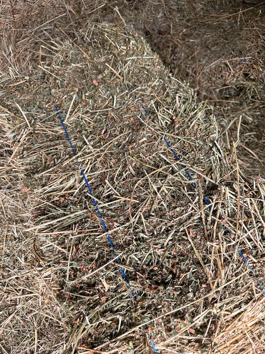 Baloti lucerna si fan de vanzare