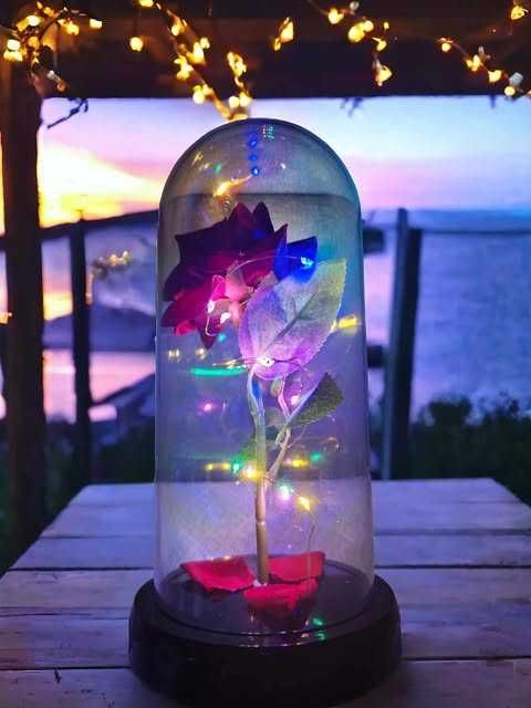 Красива осветена роза в стъкленица с красива подаръчна кутия