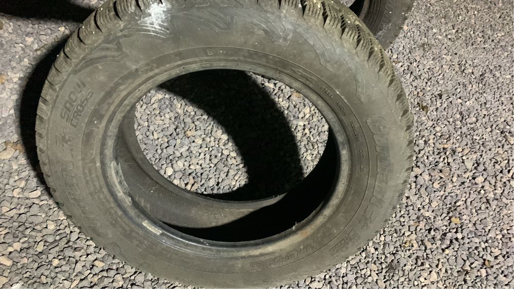 Cardiant шины продам