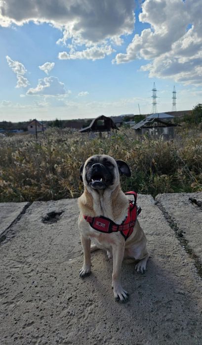 Метис Джек ищет семью!