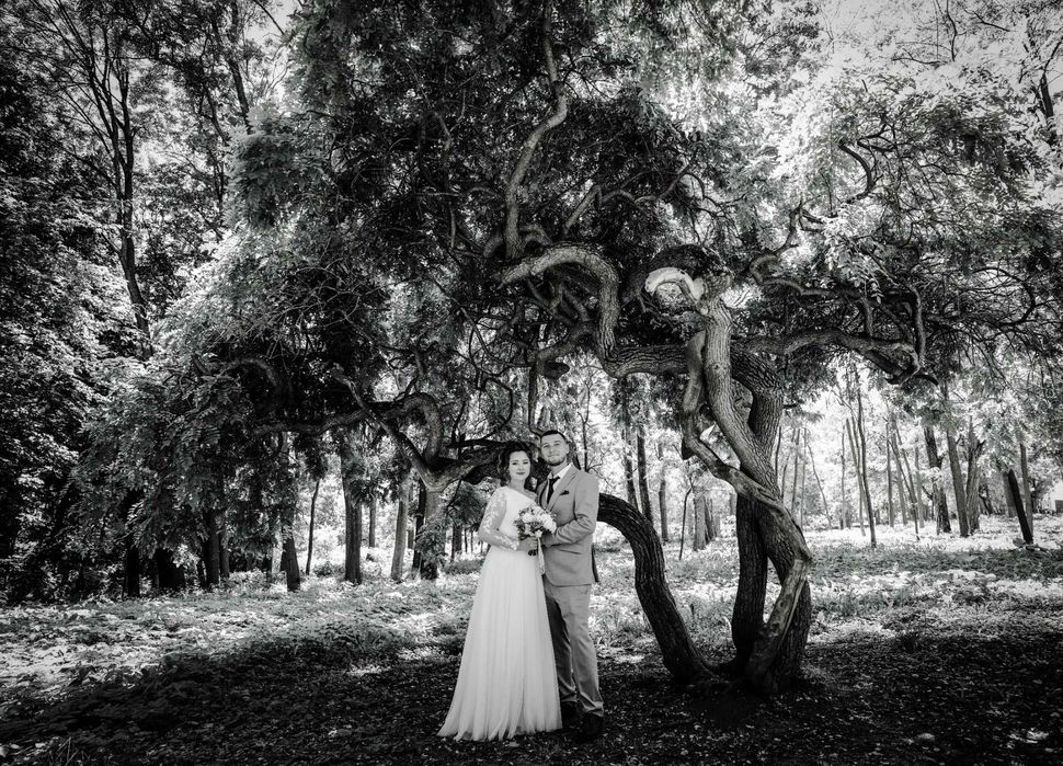 Ofer servicii foto-video