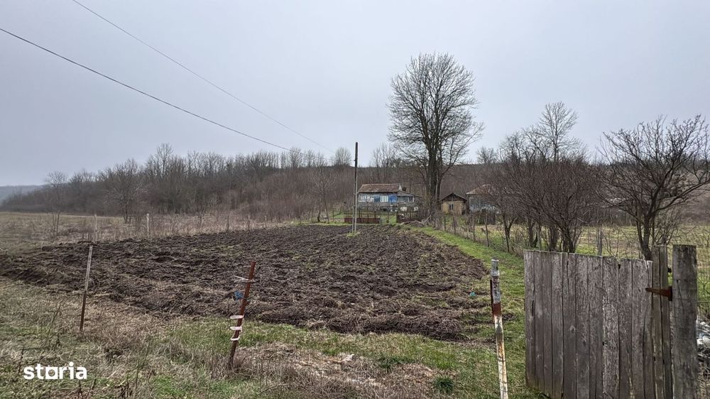 Teren 2.038 mp + Casa 50 mp de vanzare – Sat Luncsoru, Com. Ghercest