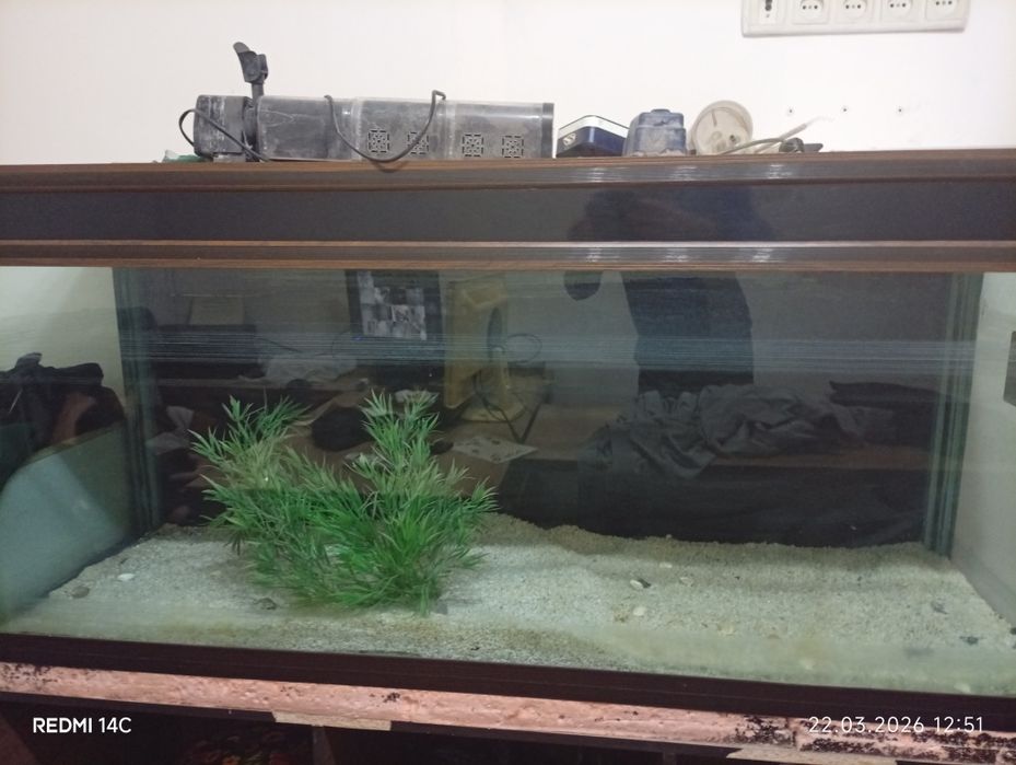 Аквариум  Akvarium