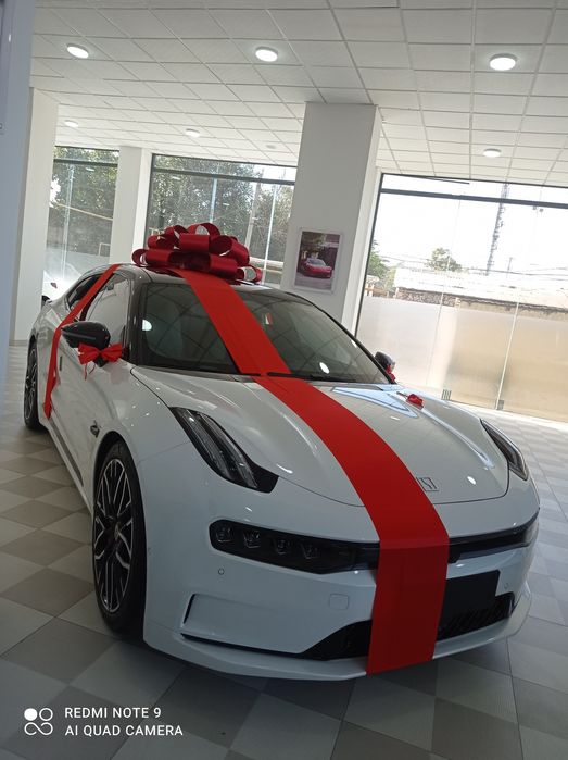 Bantik bant,бантик для машины, Avtobantik Lenta Bantik,