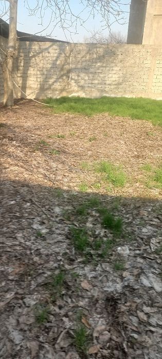 Продажа участка с коробкой 8 сотих 5 хона фасад 24 метр