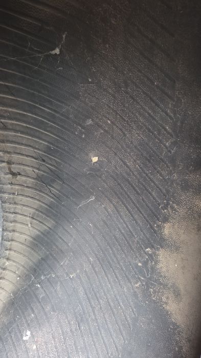 710/70R38 продам шины