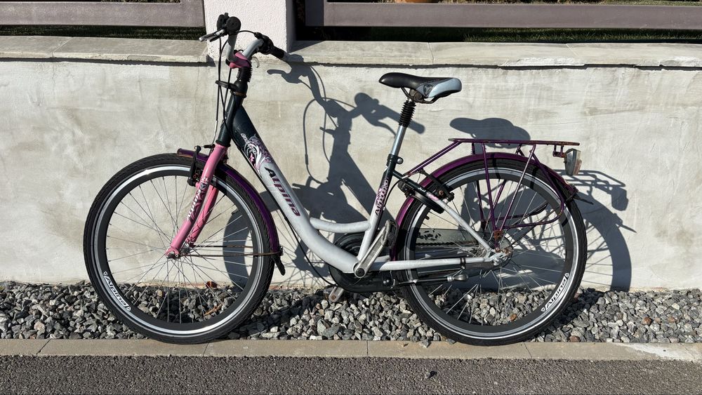 Bicicleta alpina