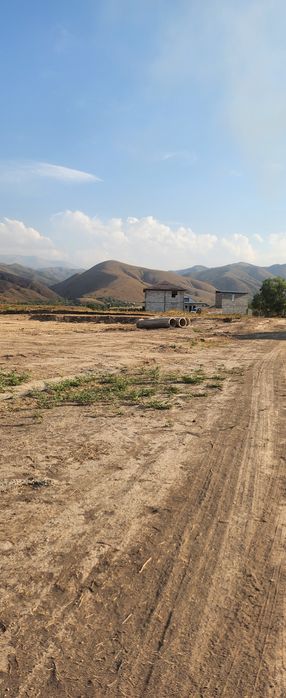 Долан лпх рассрочка