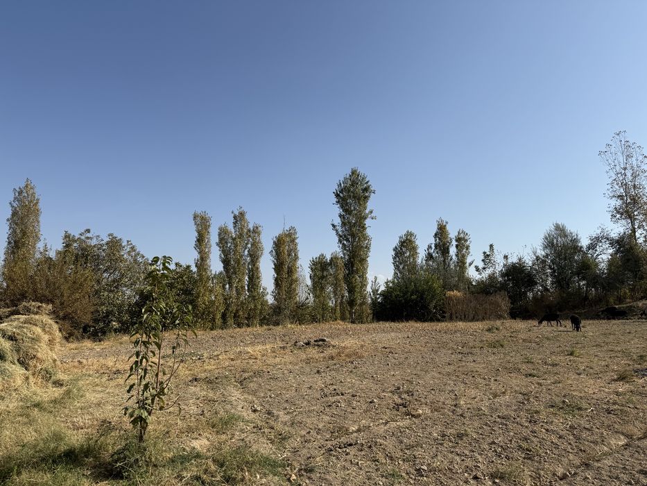 СРОЧНО Продаётся участок 11