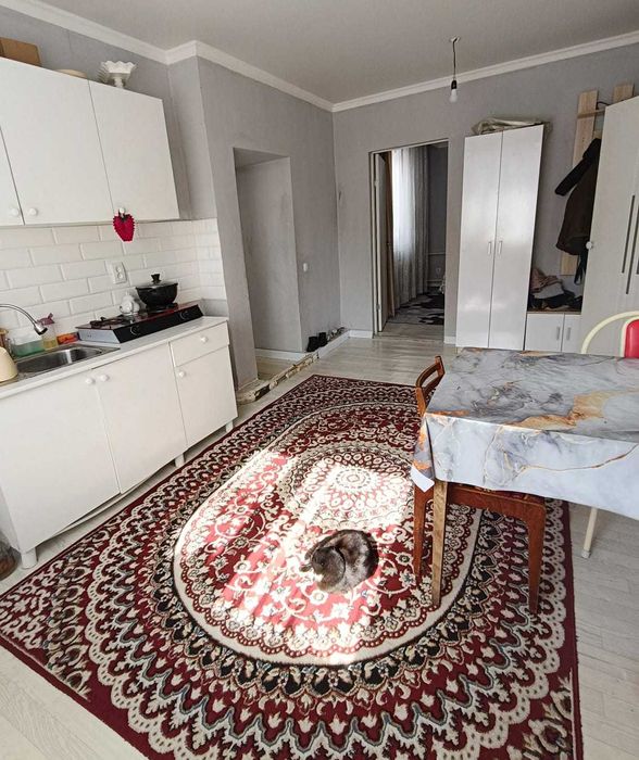 Продам частный дом в с. Майлан