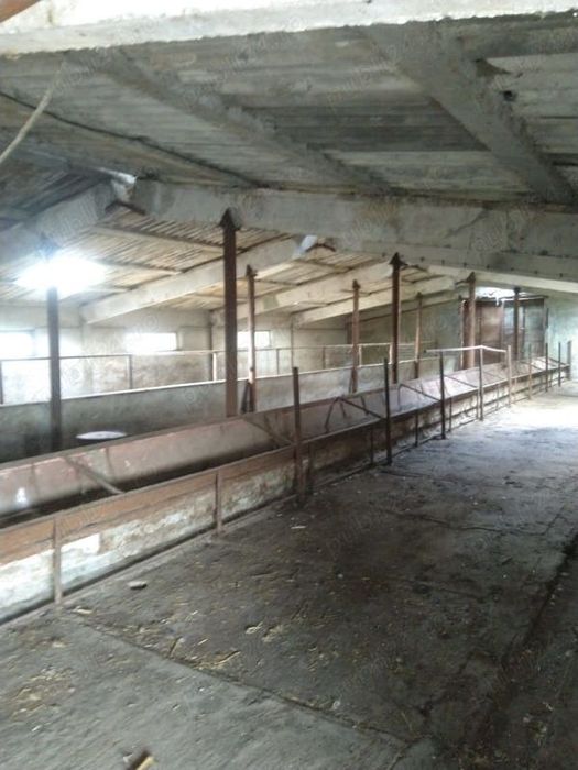 Vând FERMA cu teren 4 hectare Plopeni Constanta