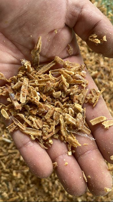 Propolis albine stare bruta