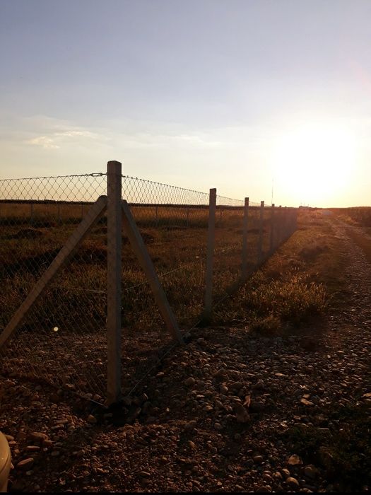 Imprejmuiri terenuri cu plasa de gard