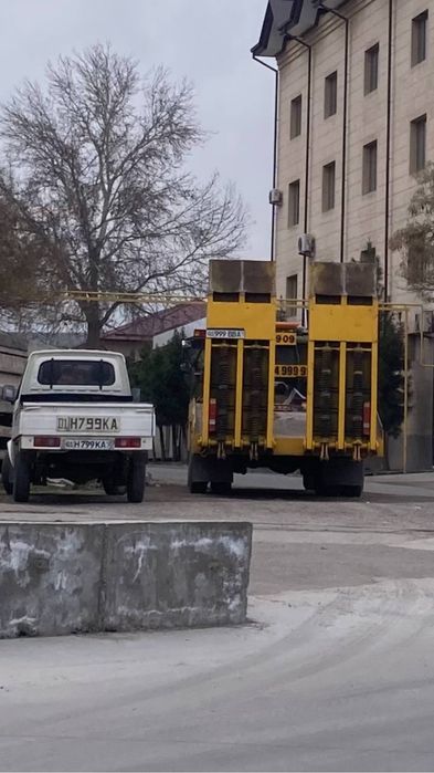 Dong feng labo sotiladi