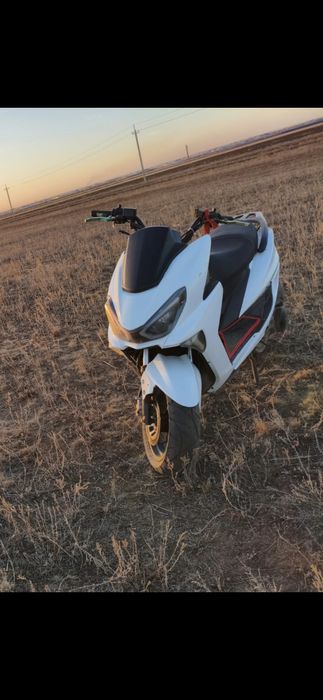 Мопед срочно макси..