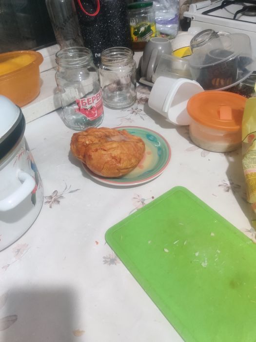 Корм для собак и кошек