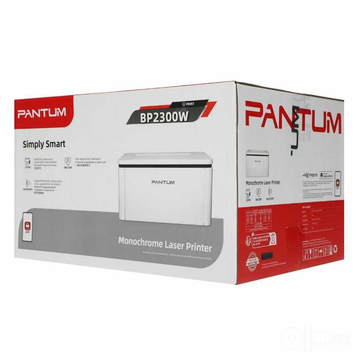 Принтер Pantum BP2300w