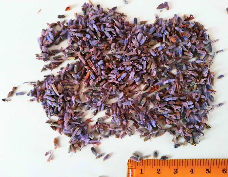 Сушена лавандула,роза_едро,дребно,етерични масла,вода_България,чужбина