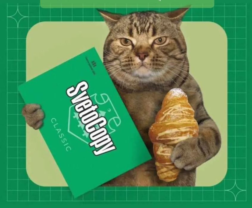 Офисная бумага А4