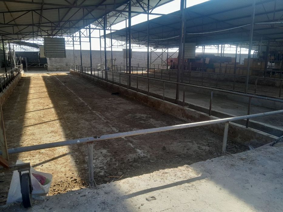 Ферма сотилади 70 сотих