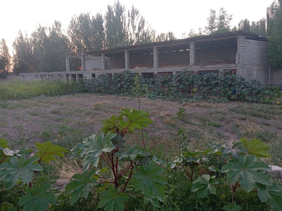 Srochni 24 sotux 2 xonali xamma sharoyitlar bor xovli sotlad