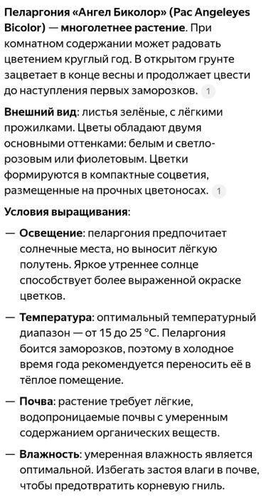 Продам черенки пеларгонии Ангел Би Колор