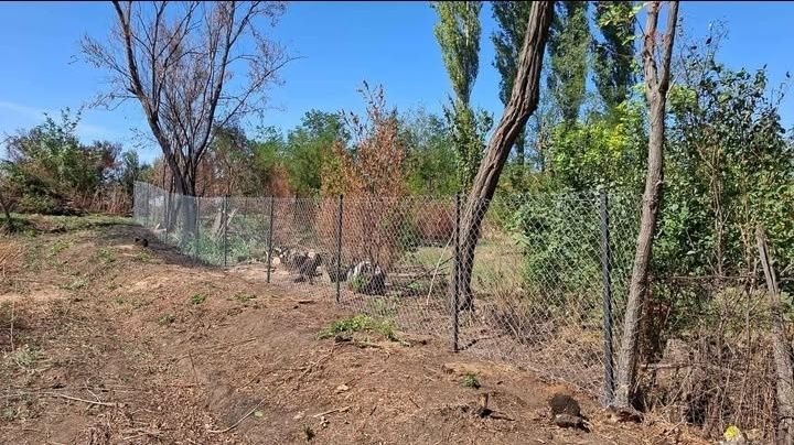 Casa de vanzare Lipanescu Buzău 2500mp