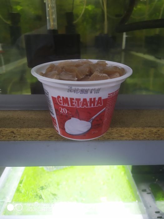 Замороженные науплии артемии