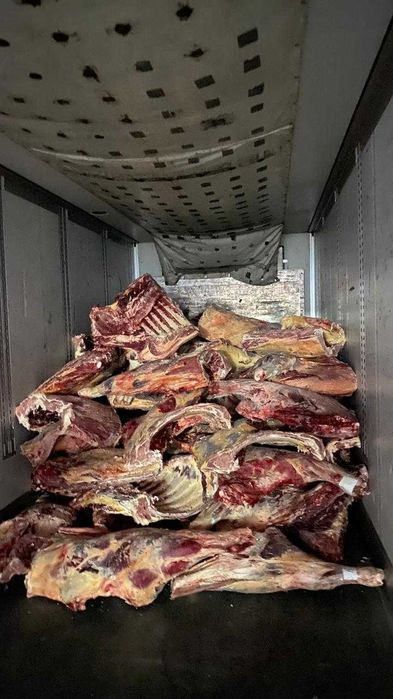 Услуги грузчиков от 2000 тг
