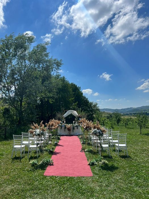 Arcada eveniment (botez / cununie / nunta)