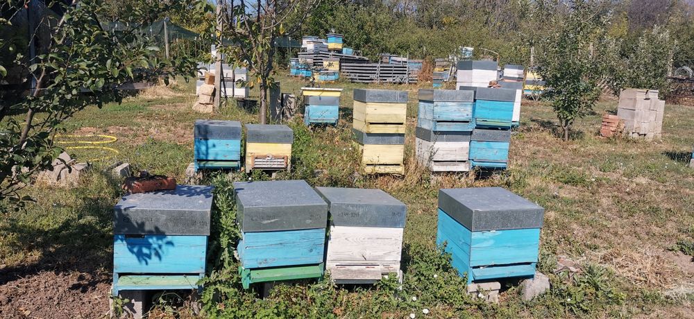 Продавам кошери ДБ, магазини, капаци,10-30€
