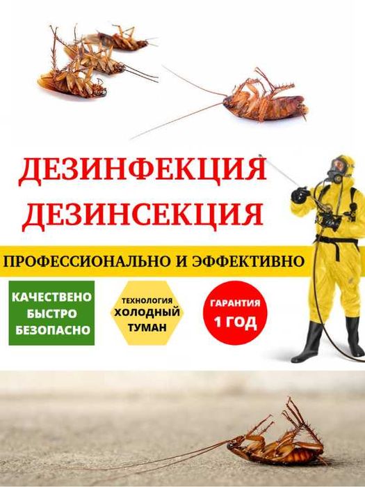 Дезинфекция Уничтожение тараканов клопов мышей вшей муравьев крыс блох
