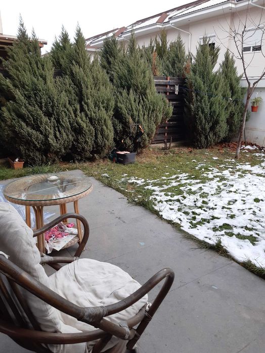 Vilă de închiriat Pipera