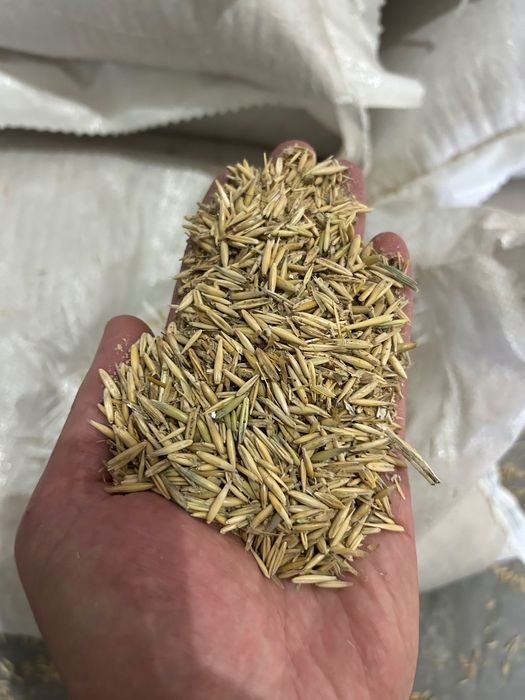 Недорого!!! Продам овес кормовой без посредников