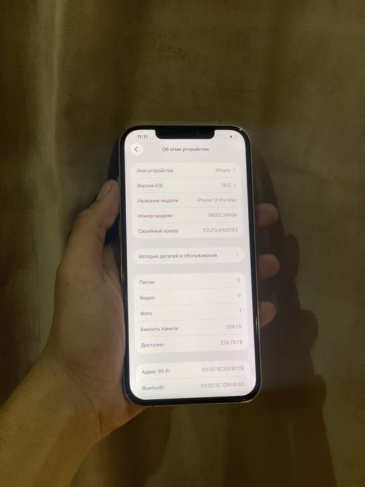 Iphone 12 PRO MAX 256GB 100%
