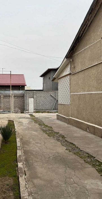 Do'rmon/Markaziy kocha 2.9 sot. Yol yuzida