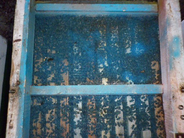 Vand familii albine Otopeni