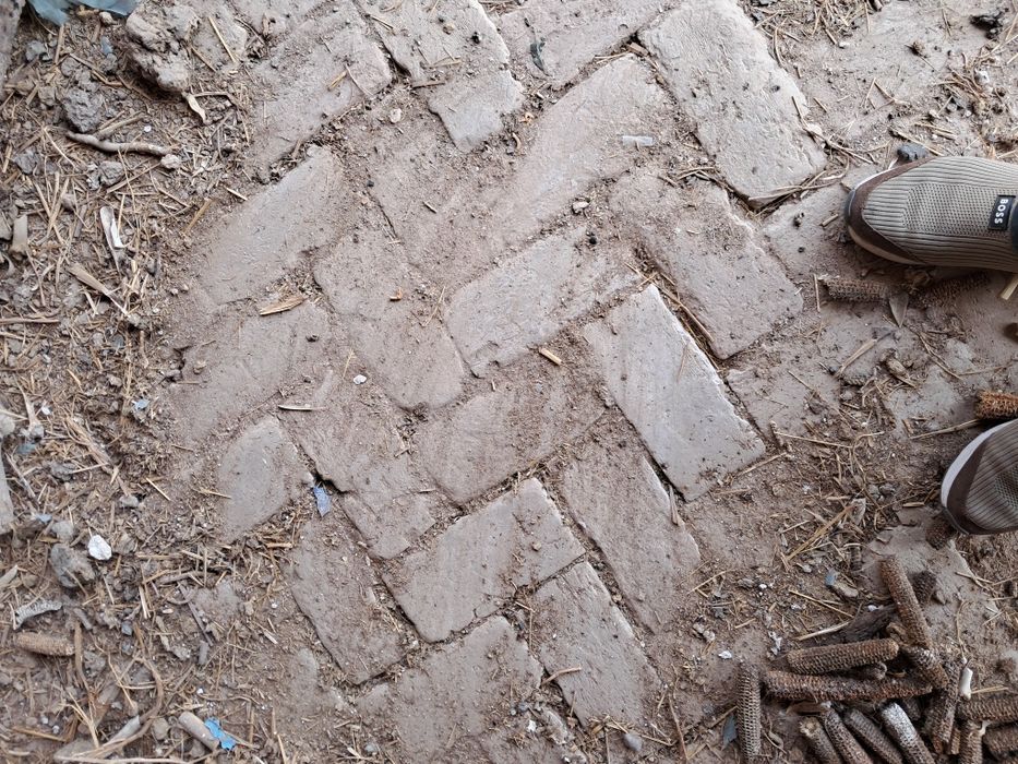 Мол ферма сотилади