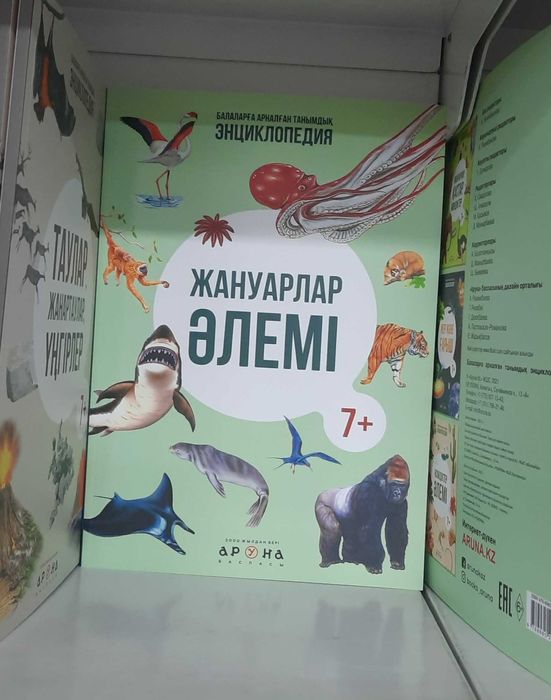 Төрт жасар порно