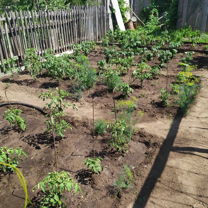 Продам дачный участок