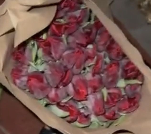 Кызғалдақтар/Тюльпаны /