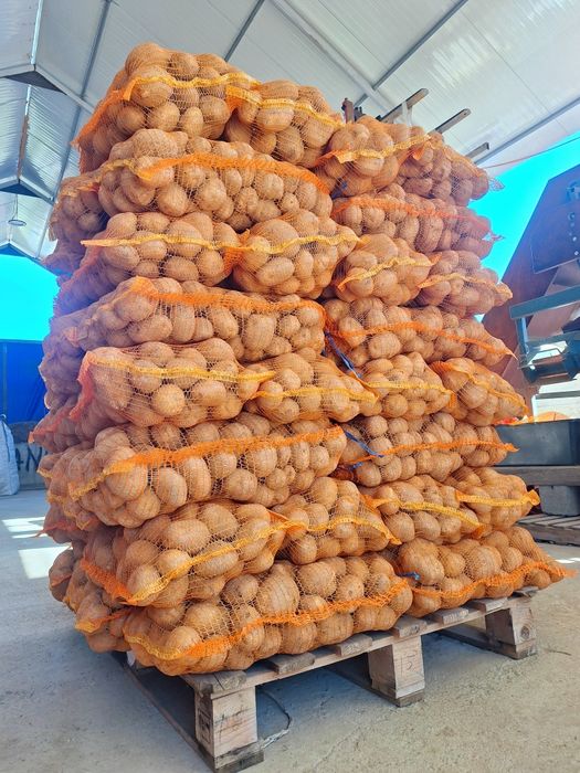 Cartofi de Vânzare - Albi și Roșii - Direct de la Producător