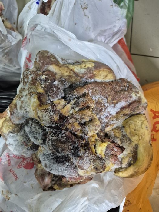 мясо для животных