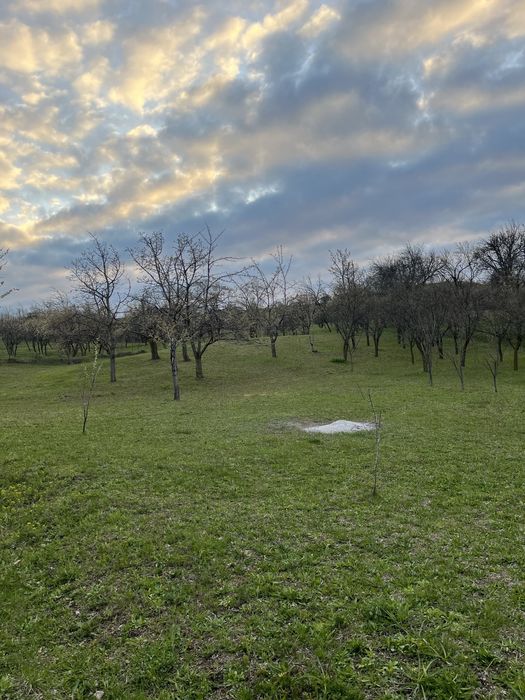 Teren ideal penteu cabana